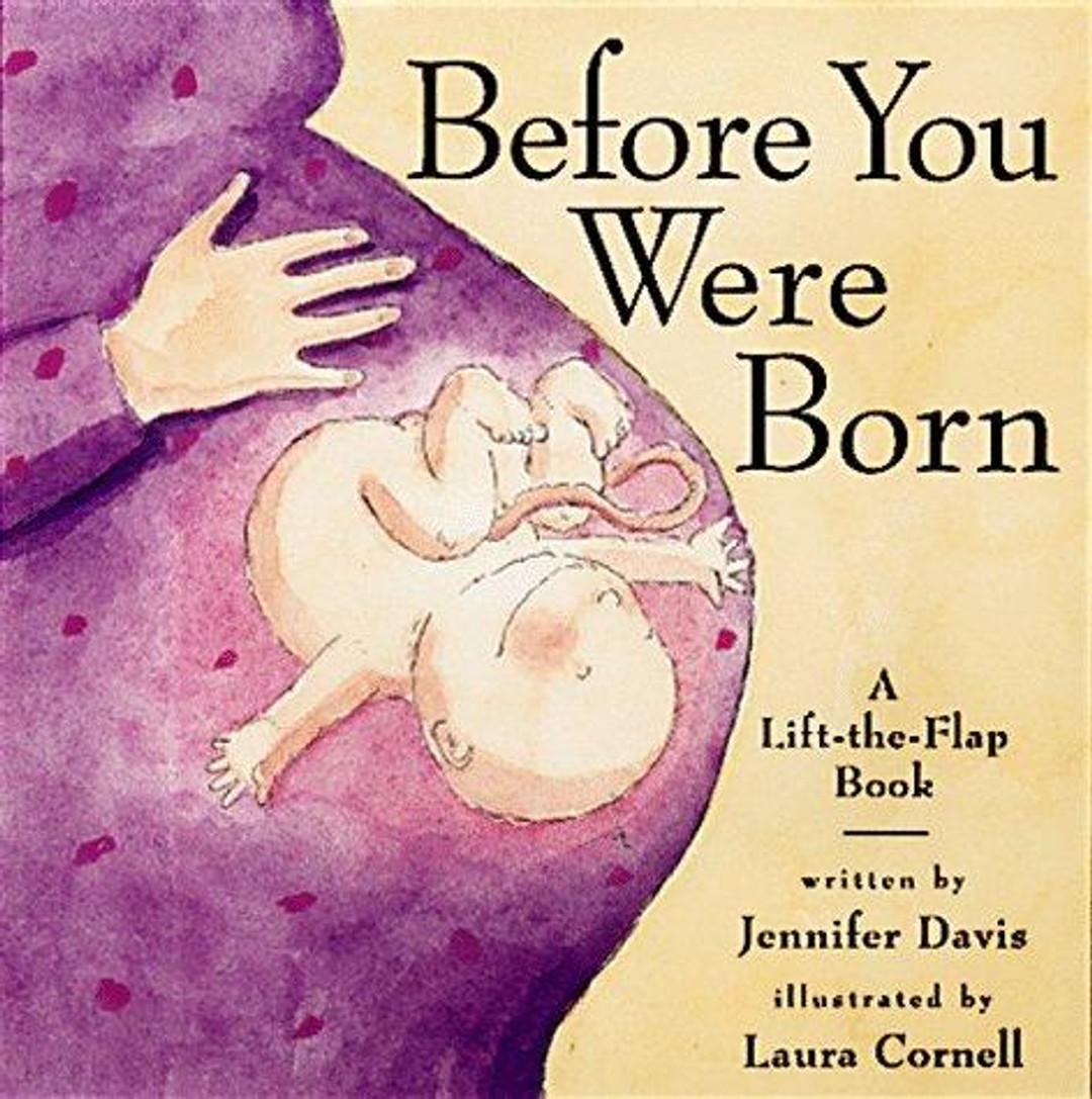 Before You Were Born: A Lift-the-Flap Book