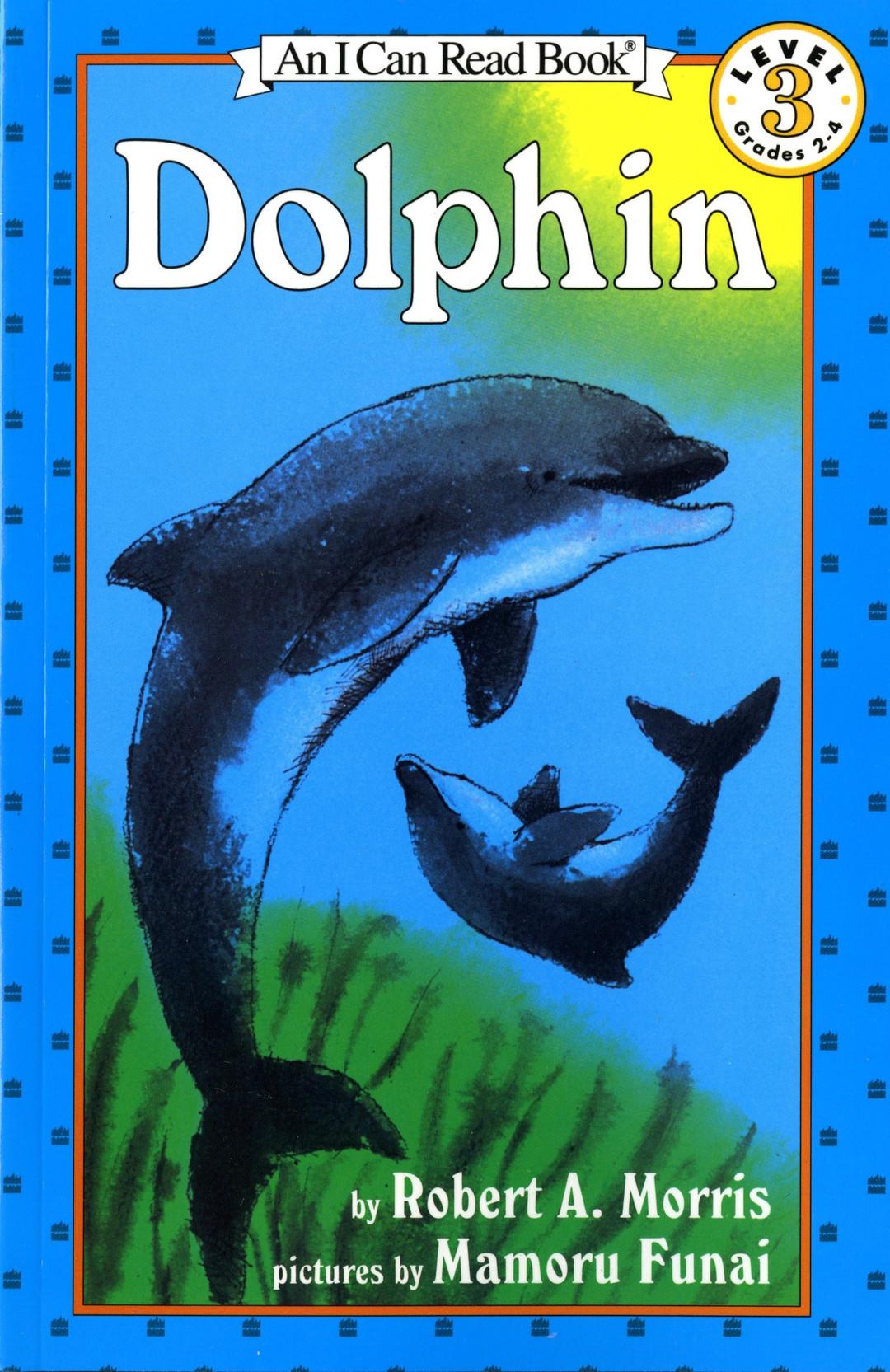 Dolphin