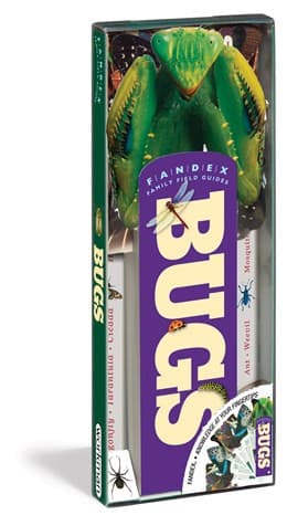 Fandex Family Field Guides: Bugs