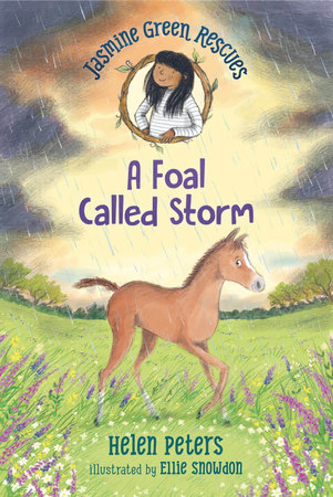 A Foal Called Storm (Jasmine Green Rescue series)