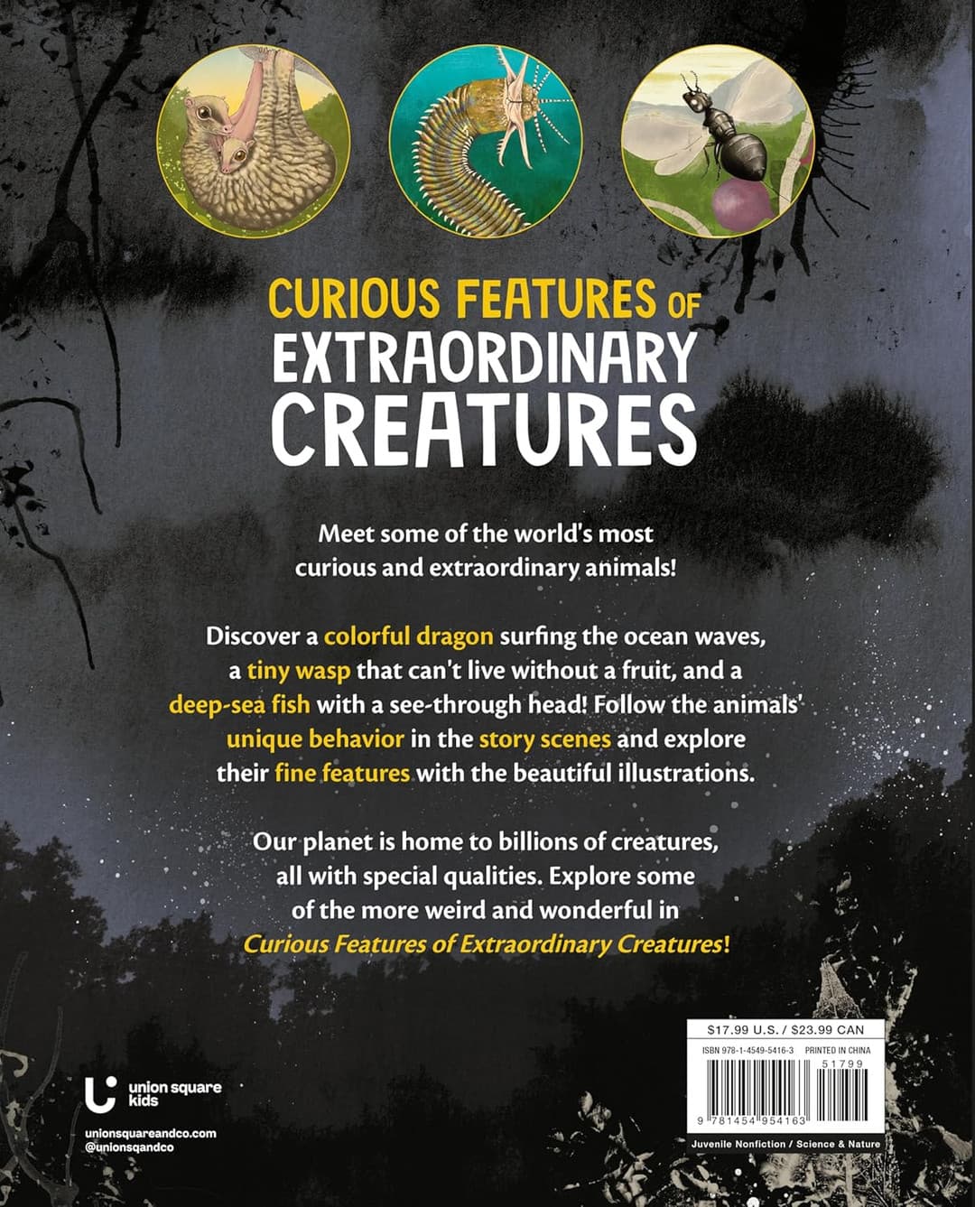 Curious Features of Extraordinary Creatures | Ignatius Book Fairs